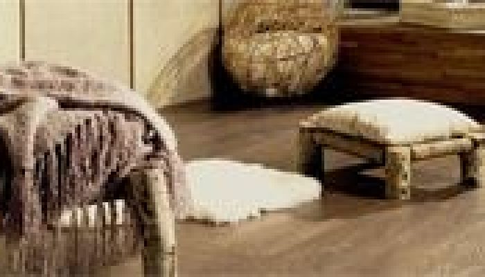 wood_cat_s
